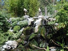 101PARC AUX OISEAUX DANS L AIN 2016 2_000027